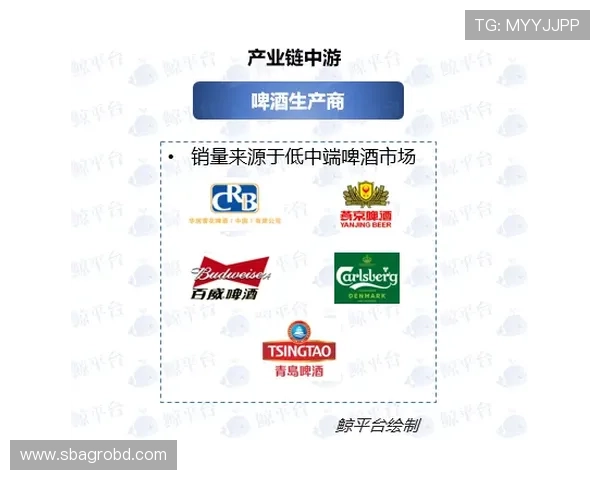 飞鲸体育推动体育产业链升级，助力体育装备制造与体育旅游融合发展