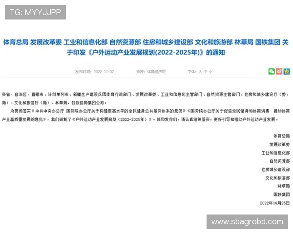 FB体育中国官网优惠活动与促销策略解析提升用户参与度与体验